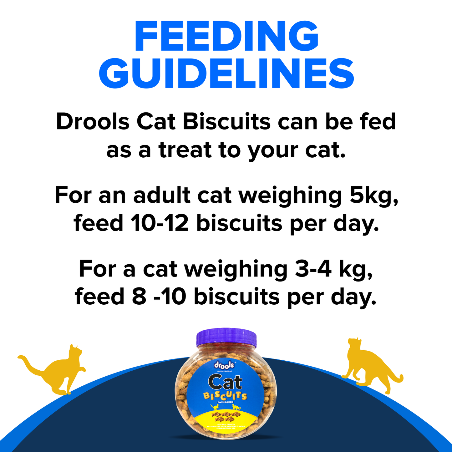 DROOLS CAT BISCUIT JAR - Animeal