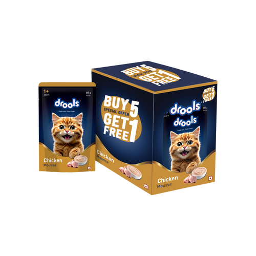 DROOLS CHIC MOUSSE KITTEN WET FOOD [80g] - Animeal