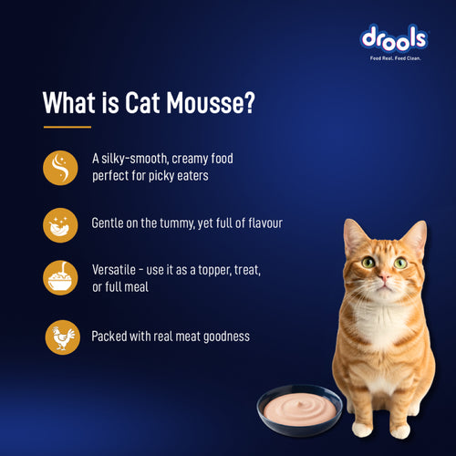 DROOLS CHIC MOUSSE KITTEN WET FOOD [80g] - Animeal