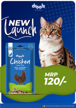 DROOLS CHICKEN LIVER DICE CAT TREAT - Animeal