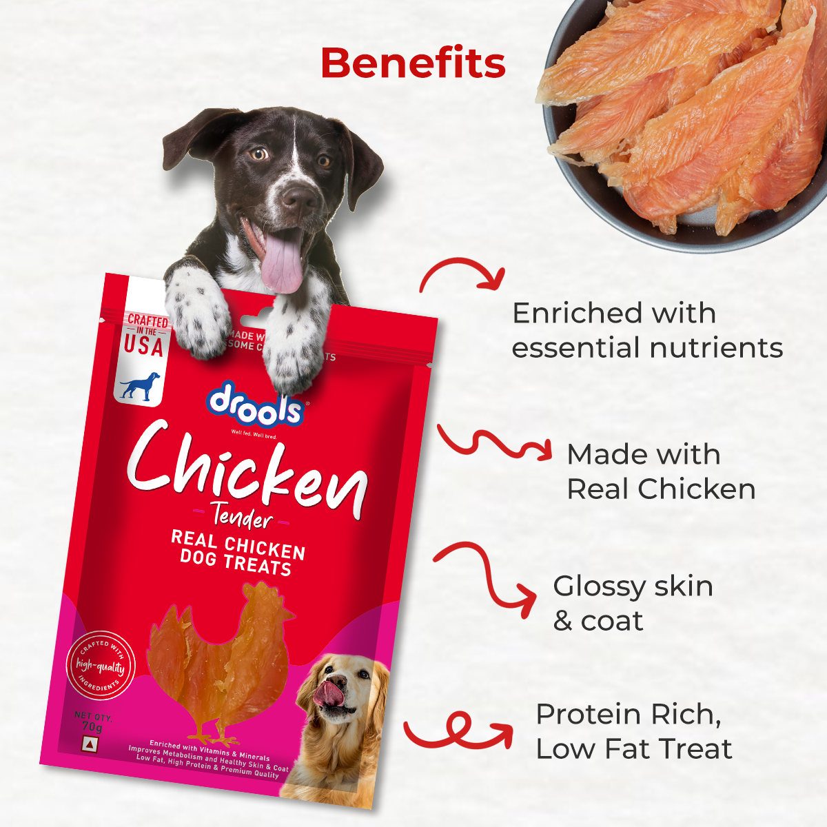DROOLS CHICKEN TENDER DOG TREAT - Animeal