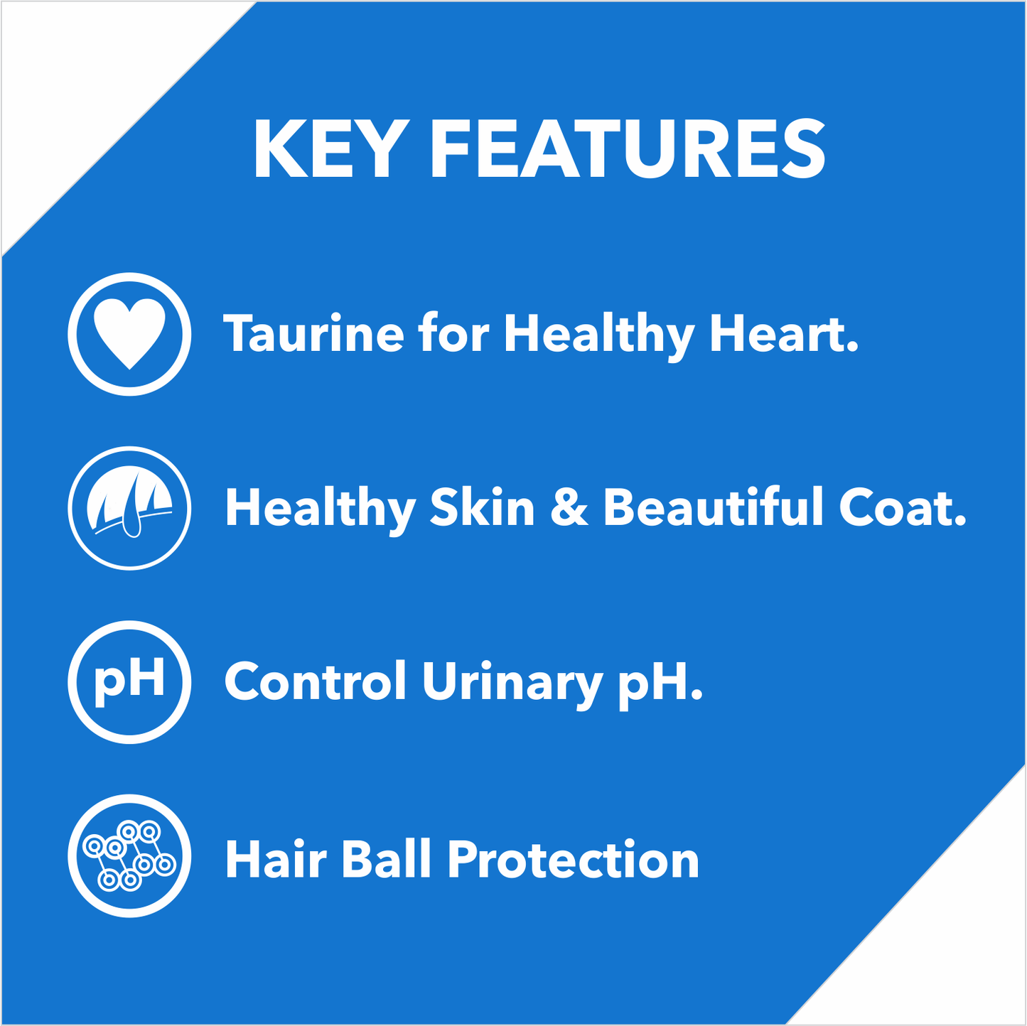 DROOLS KITTEN OCEAN FISH DRY FOOD (M) - Animeal