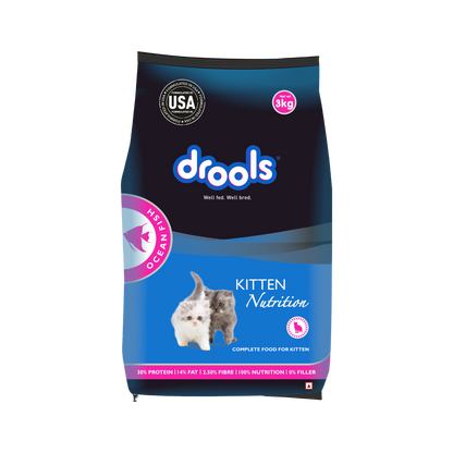 DROOLS KITTEN OCEAN FISH DRY FOOD (M) - Animeal