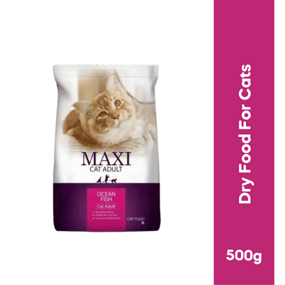 DROOLS MAXI CAT ADULT DRY FOOD [500 GM] - Animeal