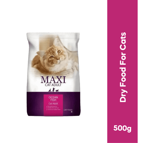 DROOLS MAXI CAT ADULT DRY FOOD [500 GM] - Animeal