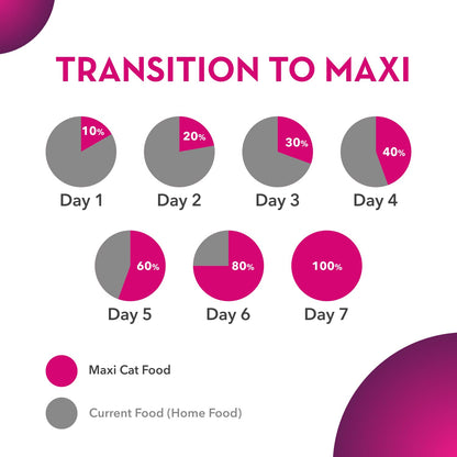 DROOLS MAXI CAT ADULT DRY FOOD [500 GM] - Animeal