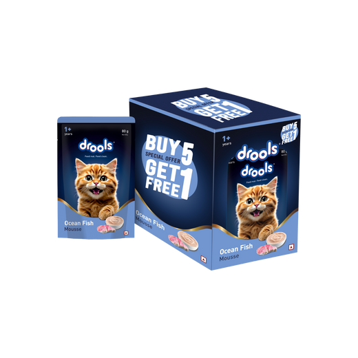 Animeal