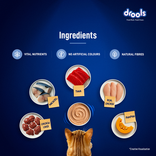 DROOLS OCEAN FISH MOUSSE CAT WET FOOD - Animeal