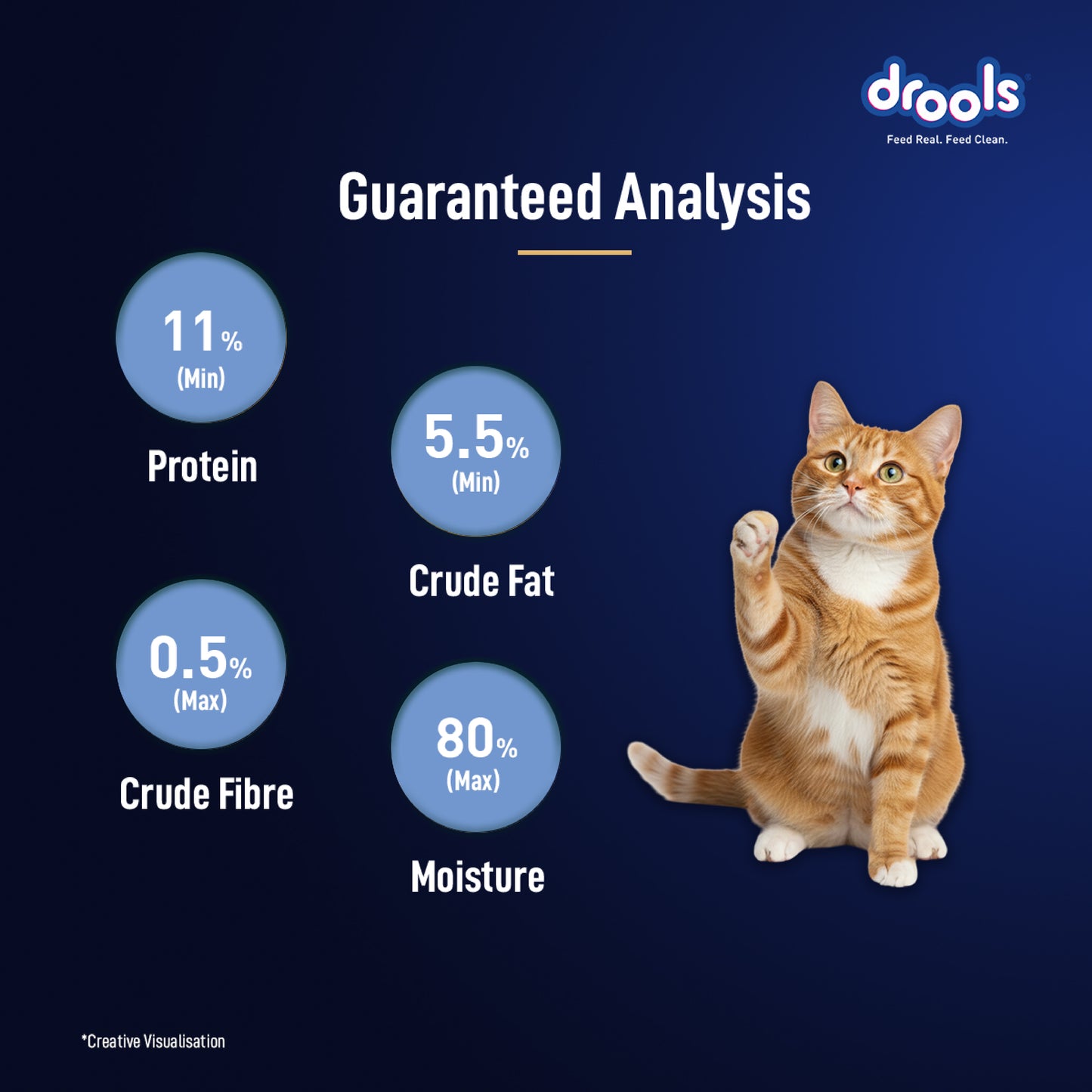 DROOLS OCEAN FISH MOUSSE CAT WET FOOD - Animeal
