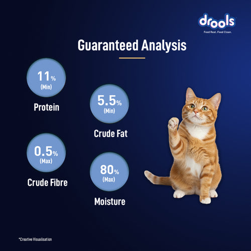 DROOLS OCEAN FISH MOUSSE CAT WET FOOD - Animeal
