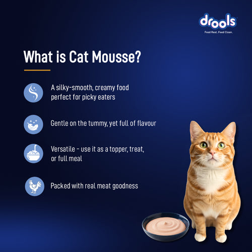 DROOLS OCEAN FISH MOUSSE CAT WET FOOD - Animeal