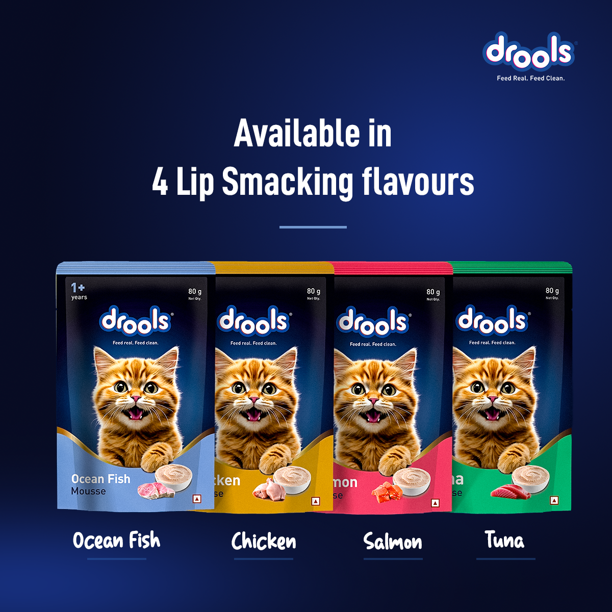 DROOLS OCEAN FISH MOUSSE CAT WET FOOD - Animeal