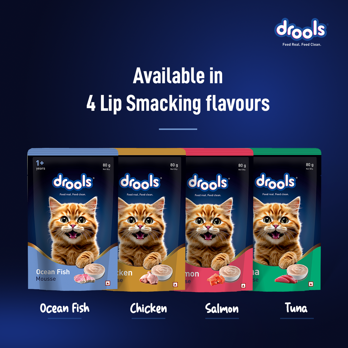 DROOLS OCEAN FISH MOUSSE KITTEN WET FOOD [80g] - Animeal