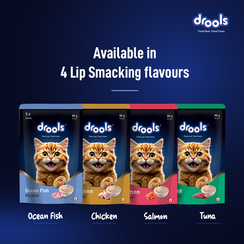 DROOLS OCEAN FISH MOUSSE KITTEN WET FOOD [80g] - Animeal