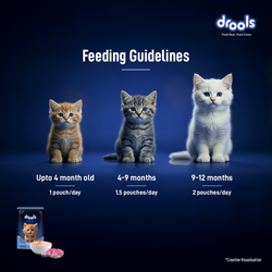 DROOLS OCEAN FISH MOUSSE KITTEN WET FOOD [80g] - Animeal