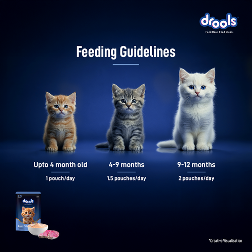 DROOLS OCEAN FISH MOUSSE KITTEN WET FOOD [80g] - Animeal