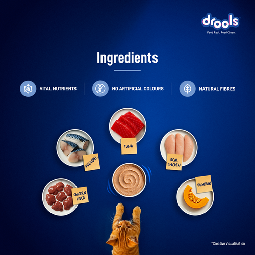 DROOLS OCEAN FISH MOUSSE KITTEN WET FOOD [80g] - Animeal