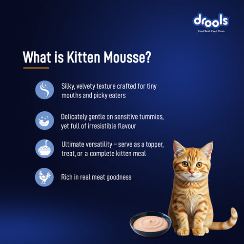 DROOLS OCEAN FISH MOUSSE KITTEN WET FOOD [80g] - Animeal