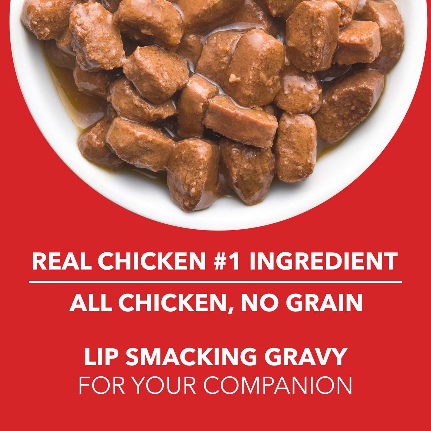 DROOLS PUPPY CHIC CHUNK GRAVY OFFER - Animeal