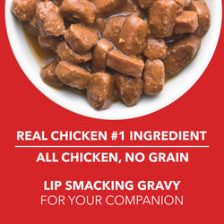 DROOLS PUPPY CHIC CHUNK GRAVY OFFER - Animeal