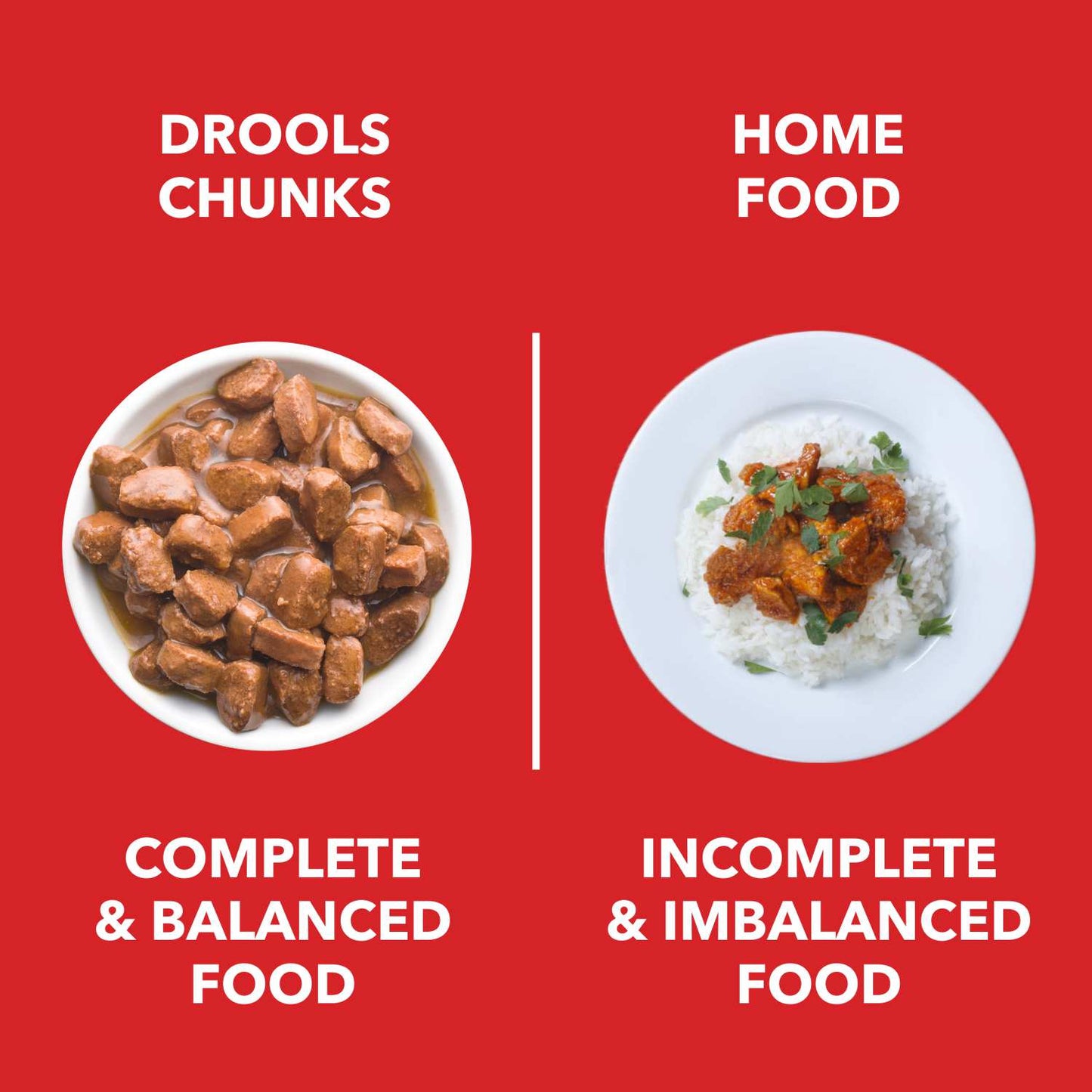 DROOLS PUPPY CHIC CHUNK GRAVY OFFER - Animeal