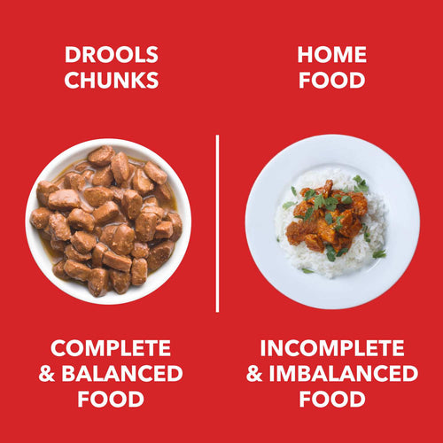 DROOLS PUPPY CHIC CHUNK GRAVY OFFER - Animeal