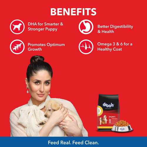 DROOLS PUPPY CHIC & EGG DRY FOOD (M) - Animeal