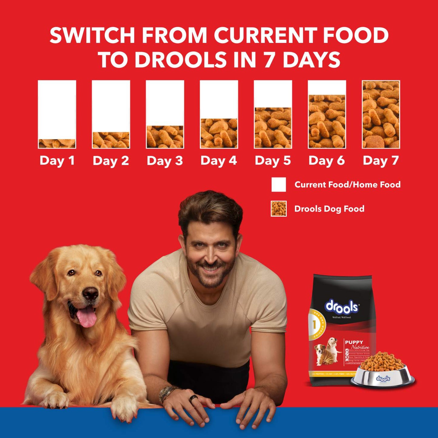 DROOLS PUPPY CHIC & EGG DRY FOOD (M) - Animeal