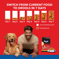 DROOLS PUPPY CHIC & EGG DRY FOOD (M) - Animeal