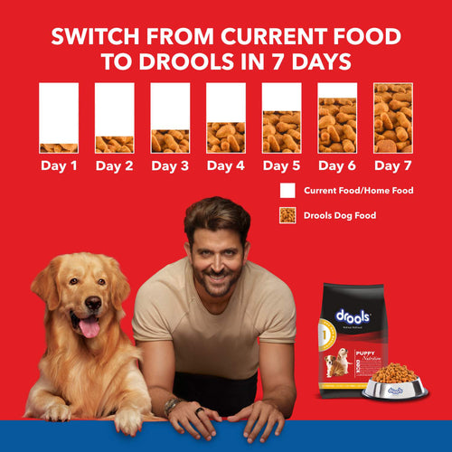 DROOLS PUPPY CHIC & EGG DRY FOOD (M) - Animeal