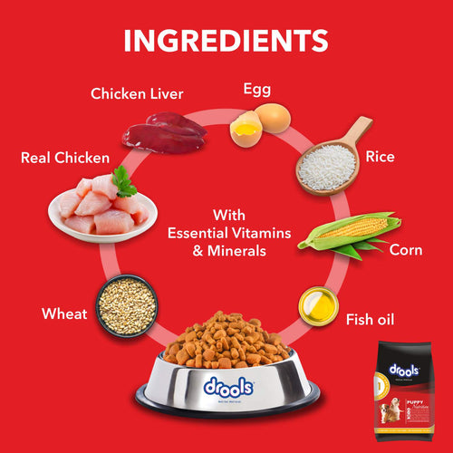 DROOLS PUPPY CHIC & EGG DRY FOOD (M) - Animeal