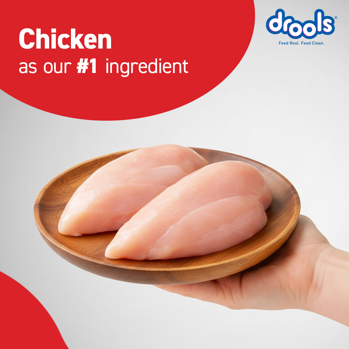 DROOLS PUPPY CHIC & EGG DRY FOOD (XXL) - Animeal
