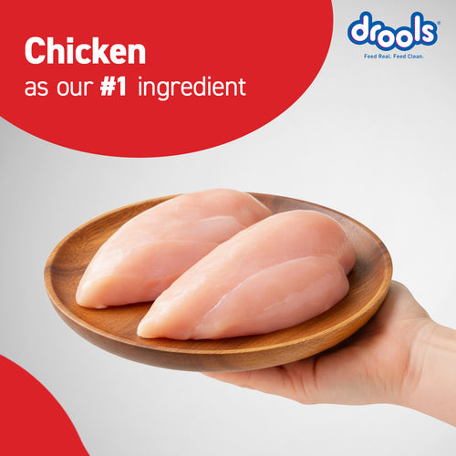 DROOLS PUPPY CHIC & EGG DRY FOOD (XXL) - Animeal