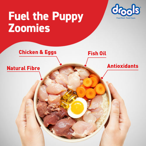DROOLS PUPPY CHIC & EGG DRY FOOD (XXL) - Animeal