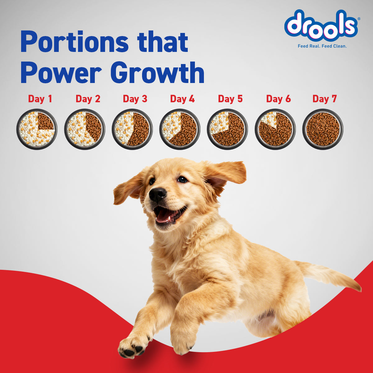 DROOLS PUPPY CHIC & EGG DRY FOOD (XXL) - Animeal