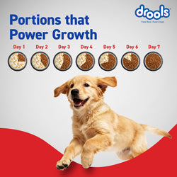 DROOLS PUPPY CHIC & EGG DRY FOOD (XXL) - Animeal
