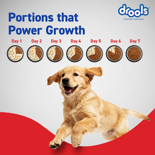 DROOLS PUPPY CHIC & EGG DRY FOOD (XXL) - Animeal