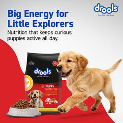 DROOLS PUPPY CHIC & EGG DRY FOOD (XXL) - Animeal