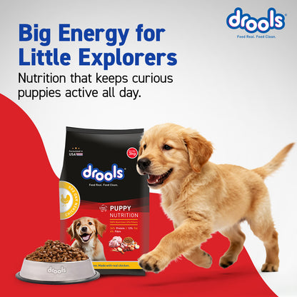 DROOLS PUPPY CHIC & EGG DRY FOOD (XXL) - Animeal