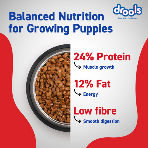 DROOLS PUPPY CHIC & EGG DRY FOOD (XXL) - Animeal