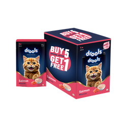 DROOLS SALMON MOUSSE KITTEN WET FOOD [80g] - Animeal