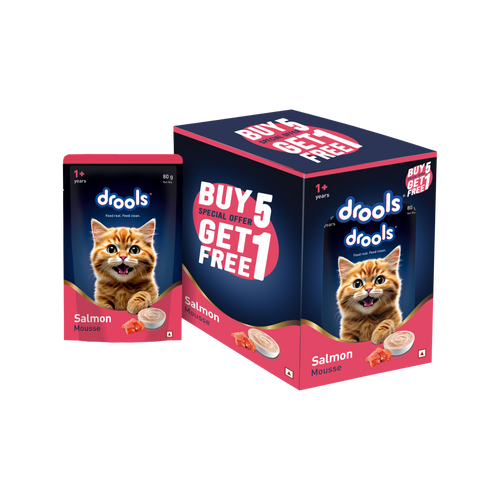 DROOLS SALMON MOUSSE KITTEN WET FOOD [80g] - Animeal