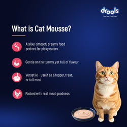 DROOLS SALMON MOUSSE KITTEN WET FOOD [80g] - Animeal