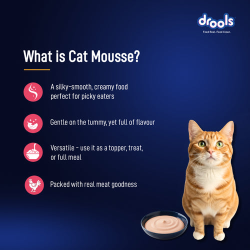 DROOLS SALMON MOUSSE KITTEN WET FOOD [80g] - Animeal