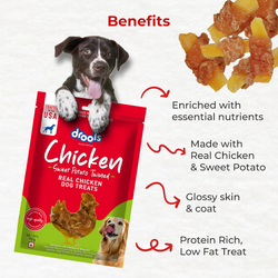 DROOLS SWEET POTATO TWINED DOG TREAT - Animeal