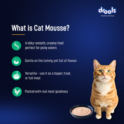 DROOLS TUNA MOUSSE CAT WET FOOD [80g] - Animeal