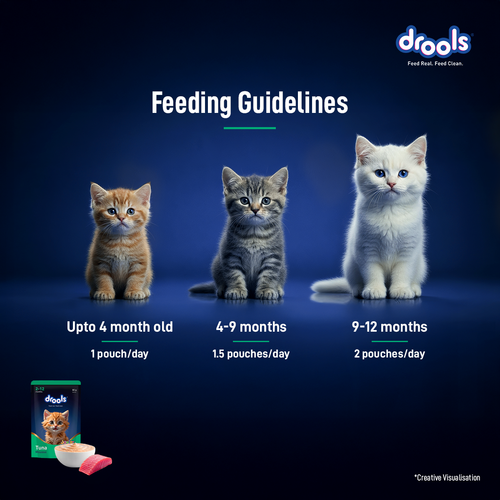 DROOLS TUNA MOUSSE KITTEN WET FOOD [80g] - Animeal