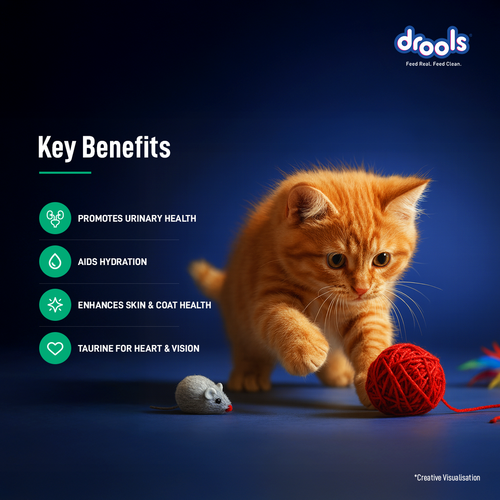 DROOLS TUNA MOUSSE KITTEN WET FOOD [80g] - Animeal