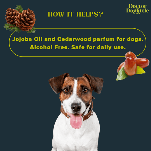 Doctor Doglittle Probiotic  2-in-1 Deodorant & Perfume - Animeal
