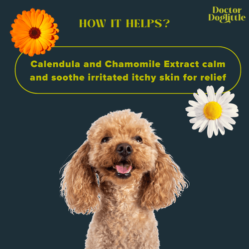 Doctor Doglittle Probiotic Allergy Relief  2-in-1 Shampoo Conditioner 200ml - Animeal